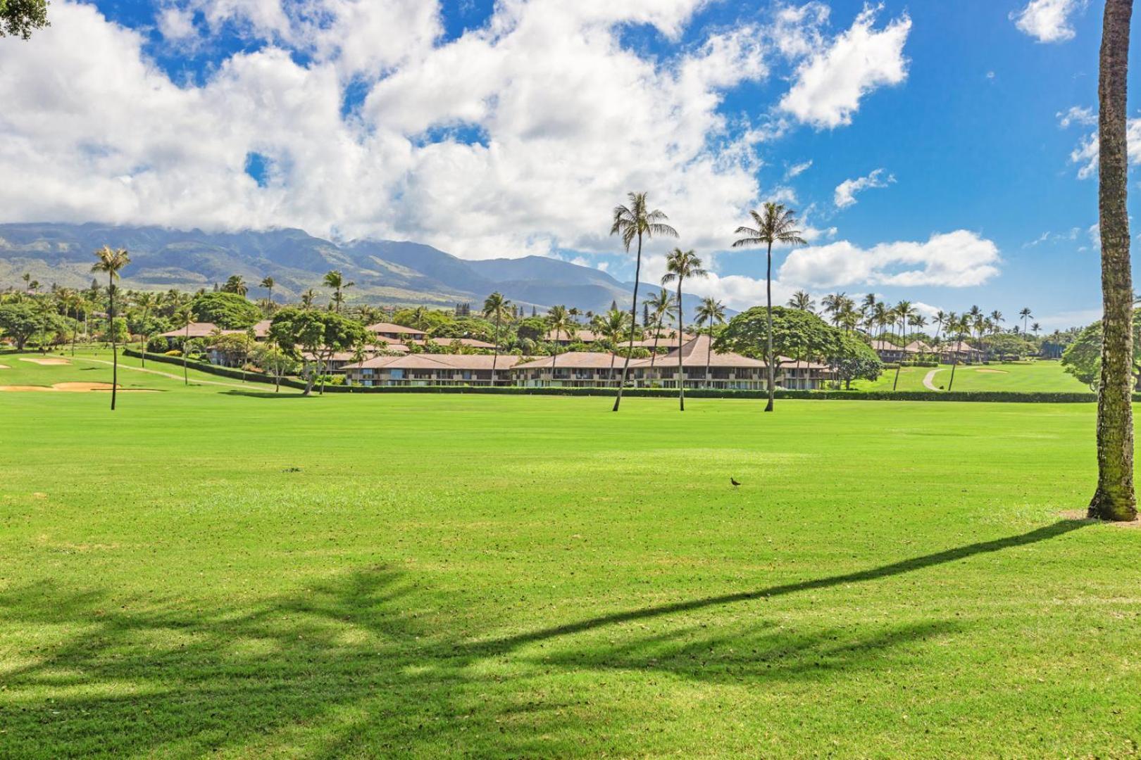 فندق Maui Eldorado - J-106 - Walk-Out Ocean Views Kahana المظهر الخارجي الصورة